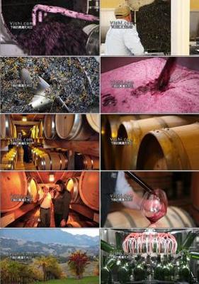 酒加工 酒加工AE模板下載