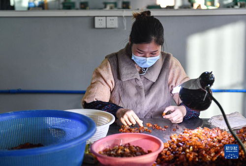 新華全媒 丨走進(jìn)海南自貿(mào)港 樣板間 洋浦保稅港區(qū)